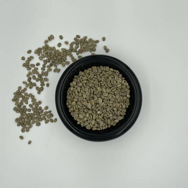 Colombia EXCELSO EP Washed