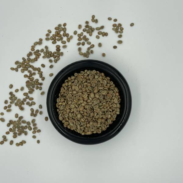 Colombia Castillo Honey Anaerobic
